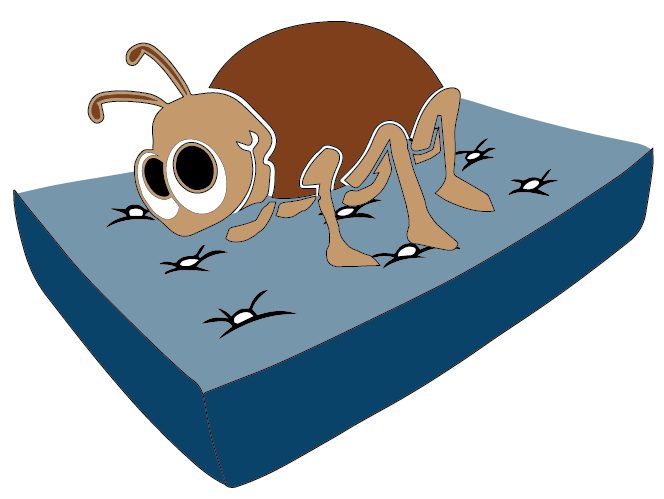 Bed Bugs - What Every Camp Needs to Know