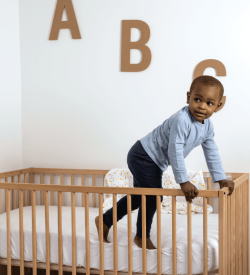 SaniSnooze™ Sweet Dreams Waterproof Bedwetting Crib Mattress