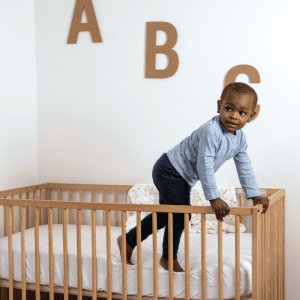 SaniSnooze™ Sweet Dreams Waterproof Bedwetting Crib Mattress
